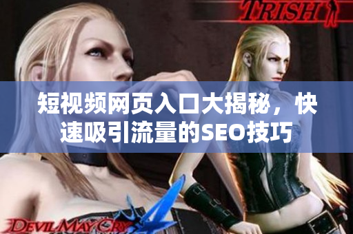 短视频网页入口大揭秘，快速吸引流量的SEO技巧