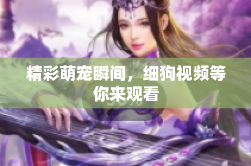 精彩萌宠瞬间，细狗视频等你来观看