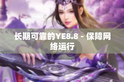 长期可靠的YE8.8 - 保障网络运行