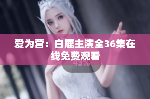 爱为营：白鹿主演全36集在线免费观看
