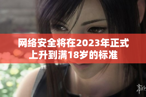 网络安全将在2023年正式上升到满18岁的标准