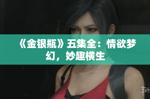 《金银瓶》五集全：情欲梦幻，妙趣横生