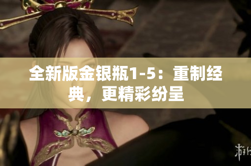 全新版金银瓶1-5：重制经典，更精彩纷呈
