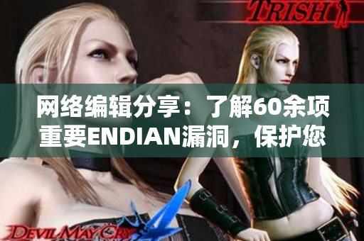 网络编辑分享：了解60余项重要ENDIAN漏洞，保护您的网络安全