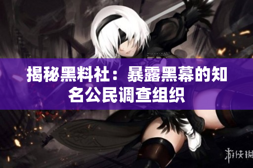 揭秘黑料社：暴露黑幕的知名公民调查组织
