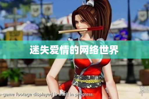 迷失爱情的网络世界