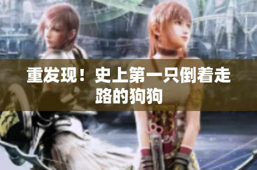 重发现！史上第一只倒着走路的狗狗