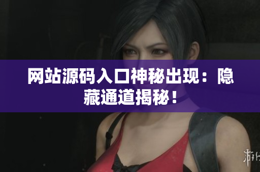网站源码入口神秘出现：隐藏通道揭秘！