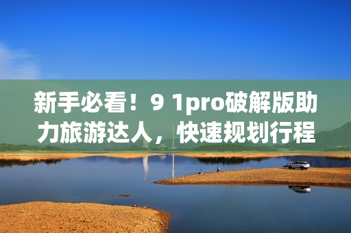 新手必看！9 1pro破解版助力旅游达人，快速规划行程省钱更便捷