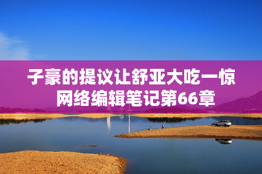 子豪的提议让舒亚大吃一惊  网络编辑笔记第66章