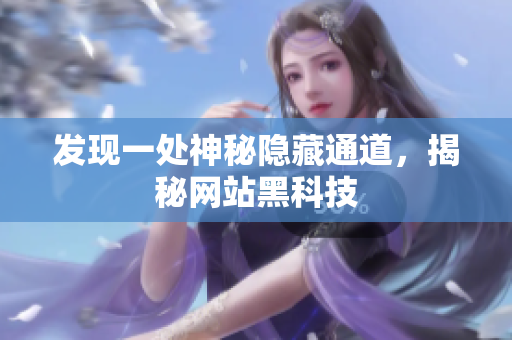 发现一处神秘隐藏通道，揭秘网站黑科技