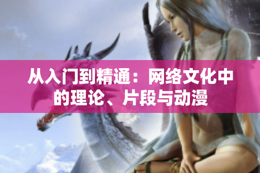 从入门到精通：网络文化中的理论、片段与动漫