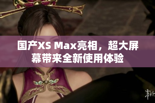国产XS Max亮相，超大屏幕带来全新使用体验