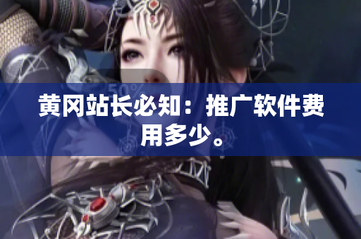 黄冈站长必知：推广软件费用多少。
