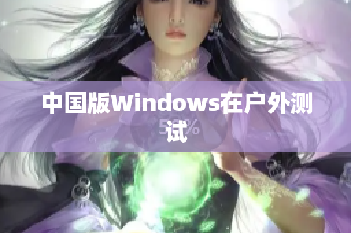 中国版Windows在户外测试