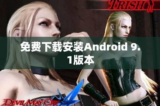 免费下载安装Android 9.1版本