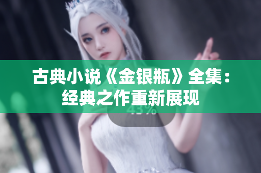 古典小说《金银瓶》全集：经典之作重新展现