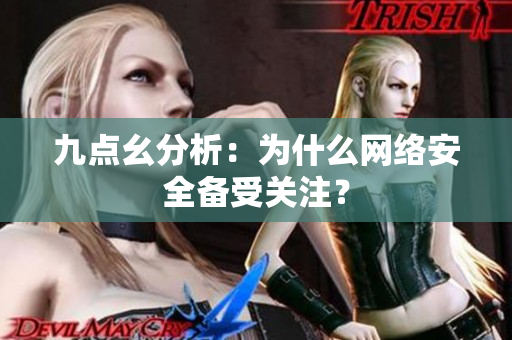 九点幺分析：为什么网络安全备受关注？