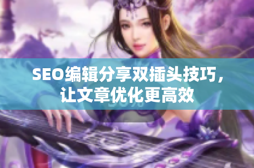 SEO编辑分享双插头技巧，让文章优化更高效