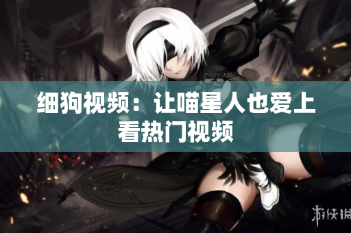 细狗视频：让喵星人也爱上看热门视频