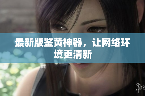 最新版鉴黄神器，让网络环境更清新