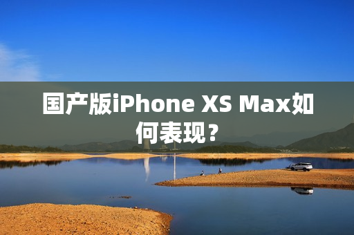 国产版iPhone XS Max如何表现？