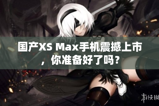 国产XS Max手机震撼上市，你准备好了吗？
