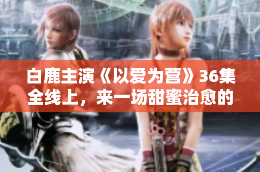 白鹿主演《以爱为营》36集全线上，来一场甜蜜治愈的旅程