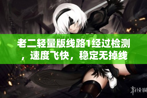 老二轻量版线路1经过检测，速度飞快，稳定无掉线