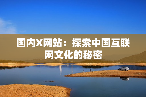 国内X网站：探索中国互联网文化的秘密